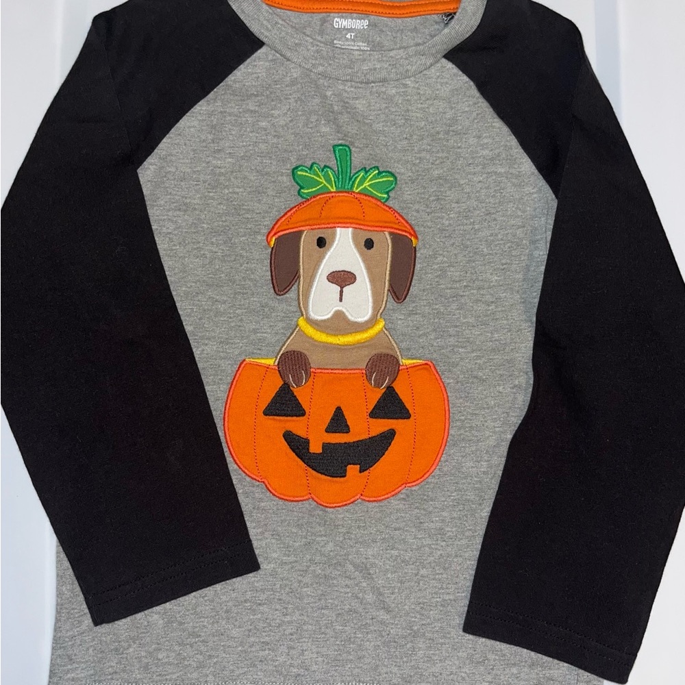 Gymboree sz 4 Halloween raglan style long sleeved shirt New without tags.